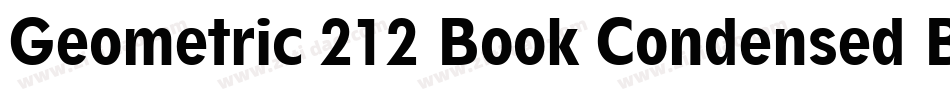 Geometric 212 Book Condensed BT字体转换